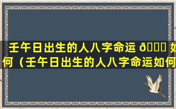 壬午日出生的人八字命运 🐒 如何（壬午日出生的人八字命运如何）